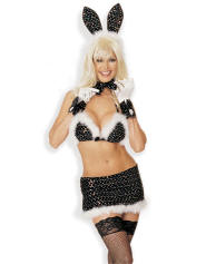 http://www.lingerie.co.uk/photos/LZoom_634765844330533900_Hollywood%20Bunny%20by%20Shirley%20of%20Hollywood.jpg